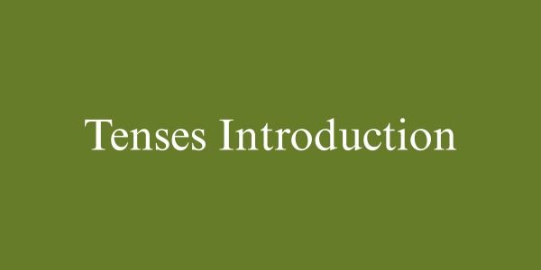 TENSES INTRODUCTION